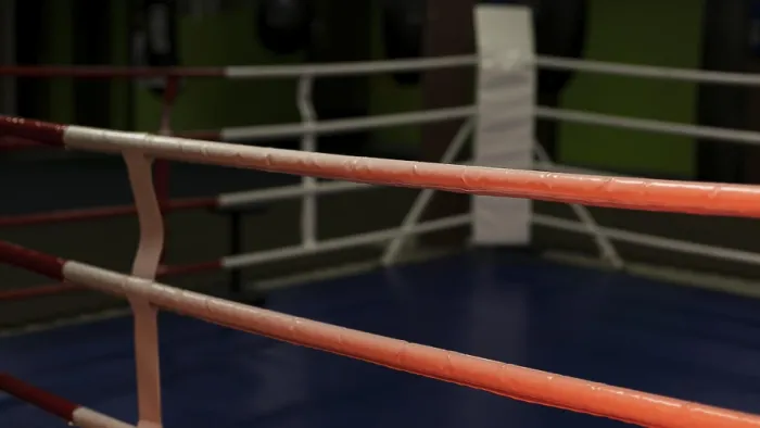 Framed Print : Empty Boxing Ring Print - Front View Framed Print : Empty Boxing Ring Print - Front View