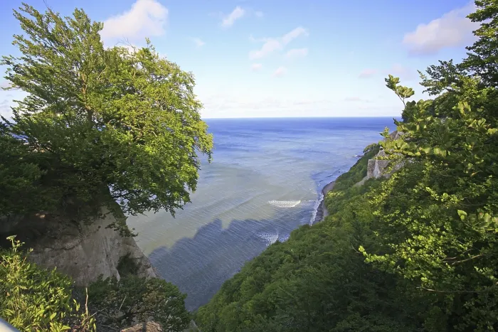 Framed Print : View onto the Chalk Cliffs with Beech Forest, Jasmund National Park, Germany Print Framed Print : View onto the Chalk Cliffs with Beech Forest, Jasmund National Park, Germany Print