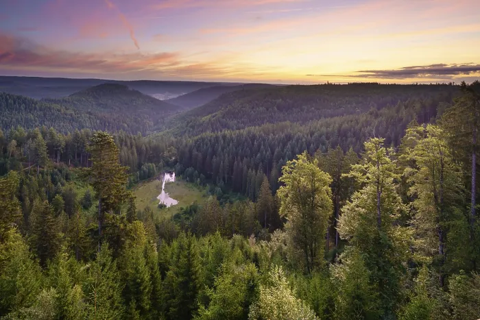 Framed Print : View from the Ellbachseeblick Viewing Platform Print, Northern Black Forest, Germany Framed Print : View from the Ellbachseeblick Viewing Platform Print, Northern Black Forest, Germany