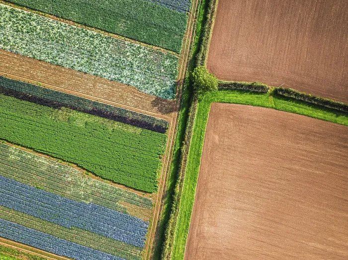Framed Print : Top Down View Print, Devon Fields from a Drone Framed Print : Top Down View Print, Devon Fields from a Drone