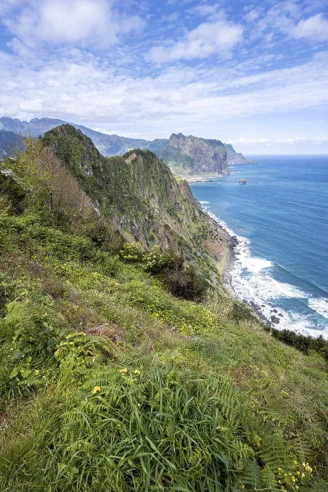 Framed Print : Madeira Coast Print: Forest-Clad Cliffs and Mountains