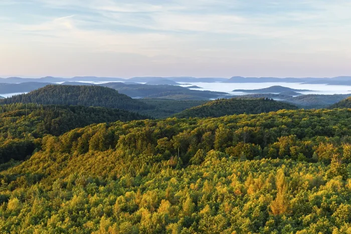Framed Print : View over the Palatinate Forest Print, Germany