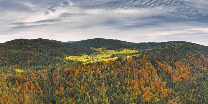 Framed Print : View from the Piketfelsen Print, Hinterzarten, Germany