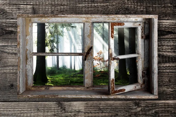 Framed Print : View through a rustic wooden window into the cloud forest Print, Hinterzarten, Germany Framed Print : View through a rustic wooden window into the cloud forest Print, Hinterzarten, Germany