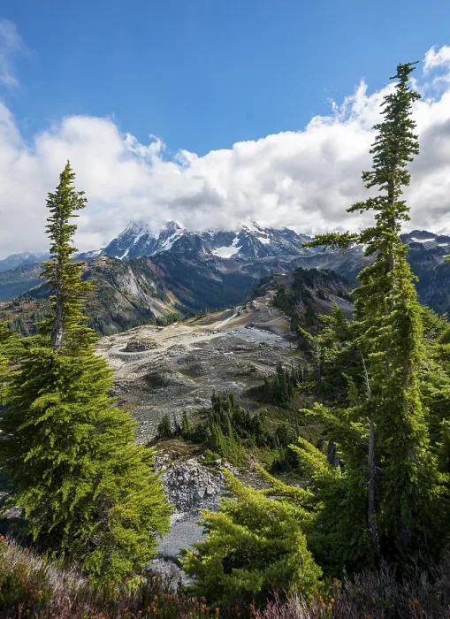 Framed Print : Mt. Shuksan Print: Table Mountain View, Washington, USA Framed Print : Mt. Shuksan Print: Table Mountain View, Washington, USA