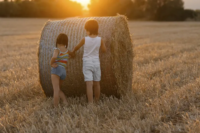 Framed Print : Rural Childhood Scene Print