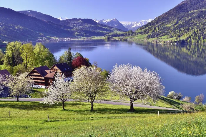 Framed Print : Aegerisee Print - Views of Morgarten, Oberageri, Switzerland Framed Print : Aegerisee Print - Views of Morgarten, Oberageri, Switzerland