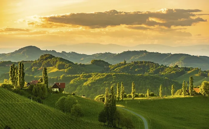 Framed Print : Vineyards in the evening light Print, South Styria, Austria Framed Print : Vineyards in the evening light Print, South Styria, Austria