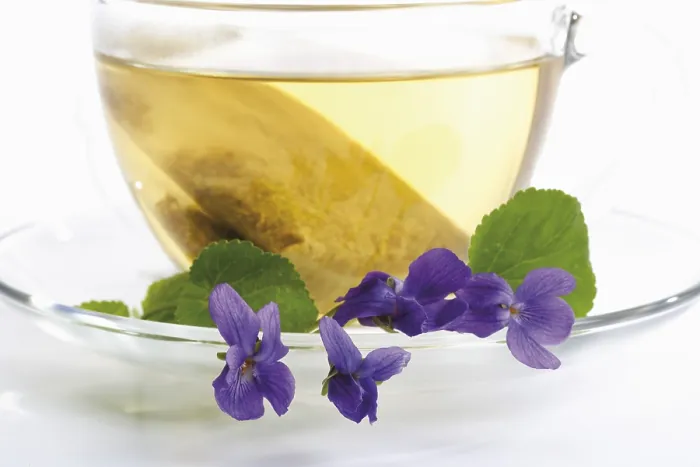 Framed Print : Violet Tea Print by imageBROKER Framed Print : Violet Tea Print by imageBROKER