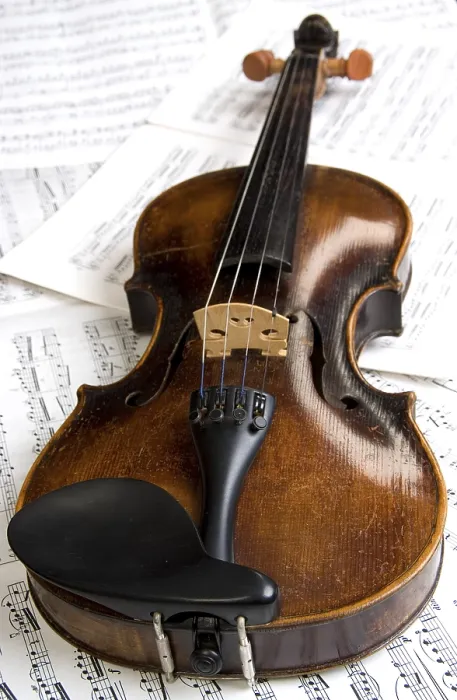 Framed Print : Violin Print by ImageBROKER Framed Print : Violin Print by ImageBROKER