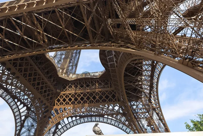 Framed Print : Eiffel Tower Print: Paris Visit Framed Print : Eiffel Tower Print: Paris Visit