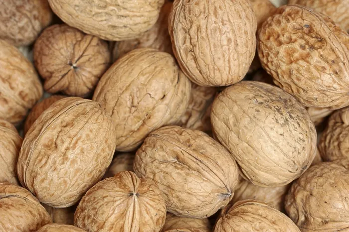 Framed Print : Walnuts Print, Close-Up of Walnuts Framed Print : Walnuts Print, Close-Up of Walnuts
