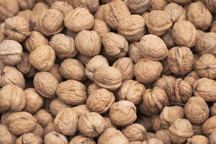 Framed Print : Walnut Print - Close-up of Walnuts Framed Print : Walnut Print - Close-up of Walnuts