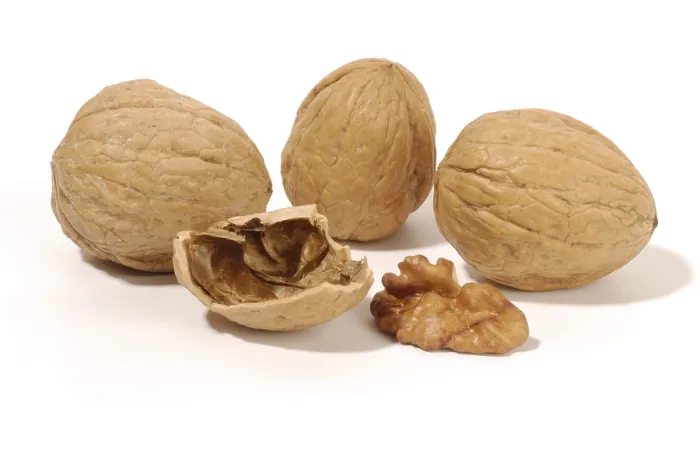 Framed Print : Walnuts Print - Close-up of a Walnut Shell