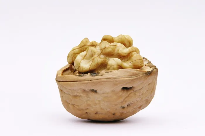 Framed Print : Walnuts Print - Aromatic Fruit Framed Print : Walnuts Print - Aromatic Fruit
