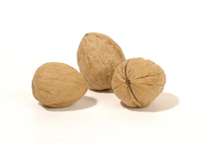 Framed Print : Walnuts Print - Aromatic Fruit Framed Print : Walnuts Print - Aromatic Fruit