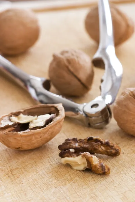 Framed Print : Walnuts Print - Aromatic Fruits Framed Print : Walnuts Print - Aromatic Fruits