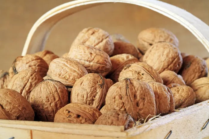 Framed Print : Walnuts in a Basket Print Framed Print : Walnuts in a Basket Print