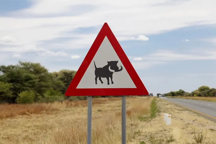 Framed Print : Warning Sign: Caution Warthogs Print, Namibia Framed Print : Warning Sign: Caution Warthogs Print, Namibia