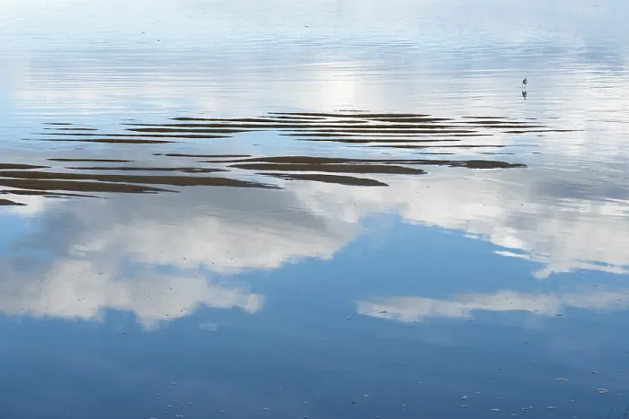 Framed Print : Water Reflections Print with Bird and Clouds Framed Print : Water Reflections Print with Bird and Clouds