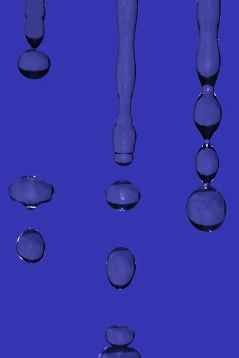 Framed Print : Waterdrops Print: Close-Up of Droplets on a Leaf Framed Print : Waterdrops Print: Close-Up of Droplets on a Leaf