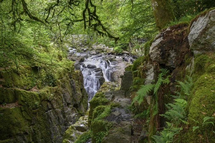 Framed Print : The Hermitage Waterfall Print, Scotland Framed Print : The Hermitage Waterfall Print, Scotland