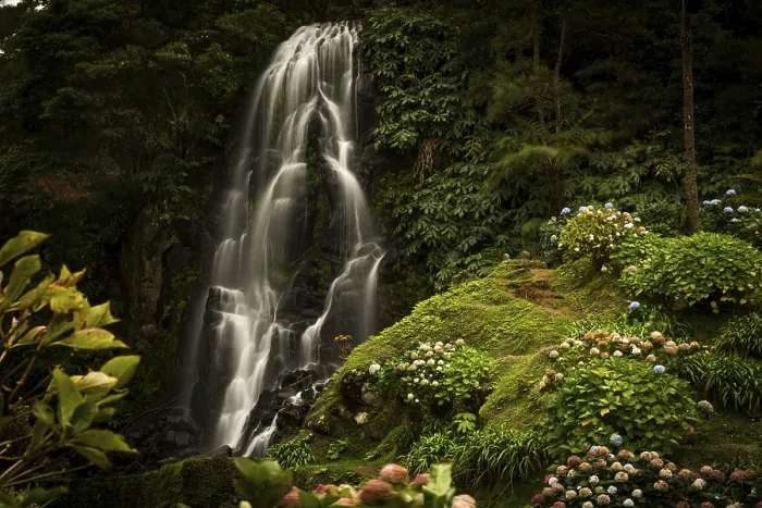 Framed Print : Waterfall in front of Hydrangea, Sao Miguel, Azores Print Framed Print : Waterfall in front of Hydrangea, Sao Miguel, Azores Print