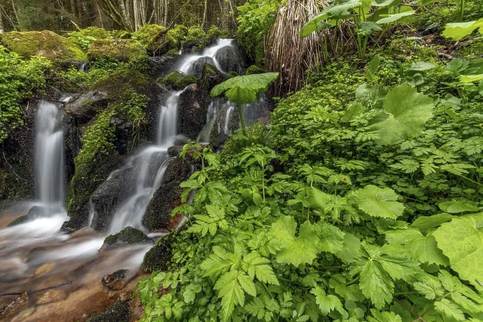 Framed Print : Waterfall in Vosges, Alsace Print Framed Print : Waterfall in Vosges, Alsace Print