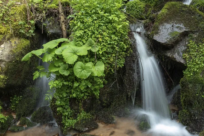 Framed Print : Waterfall in a mountain forest print, Vosges, Alsace, France Framed Print : Waterfall in a mountain forest print, Vosges, Alsace, France