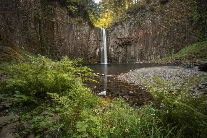 Framed Print : Abiqua Falls Basalt Column Print Framed Print : Abiqua Falls Basalt Column Print
