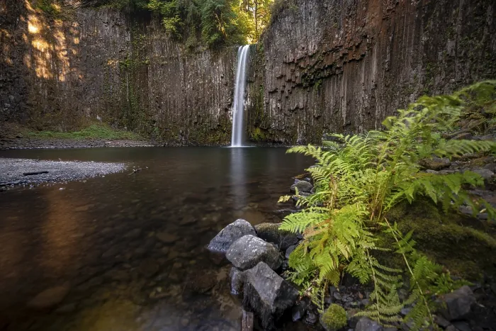 Framed Print : Abiqua Falls Basalt Columns Print, Oregon USA Framed Print : Abiqua Falls Basalt Columns Print, Oregon USA