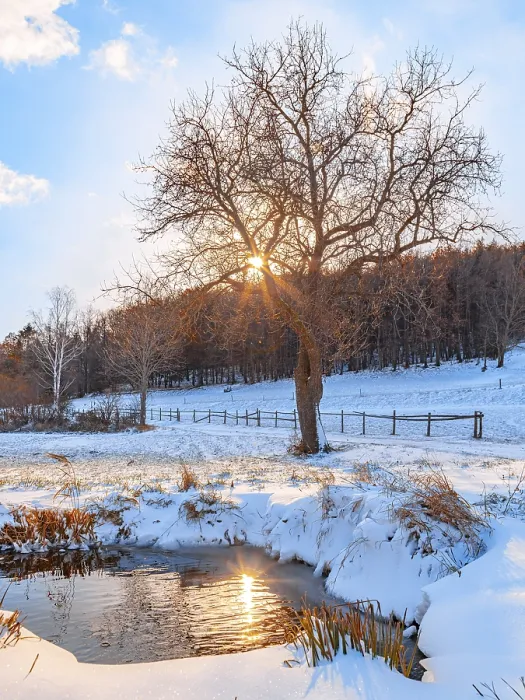 Framed Print : Waterhole in Snowy Landscape Print, Ternitz, Austria Framed Print : Waterhole in Snowy Landscape Print, Ternitz, Austria