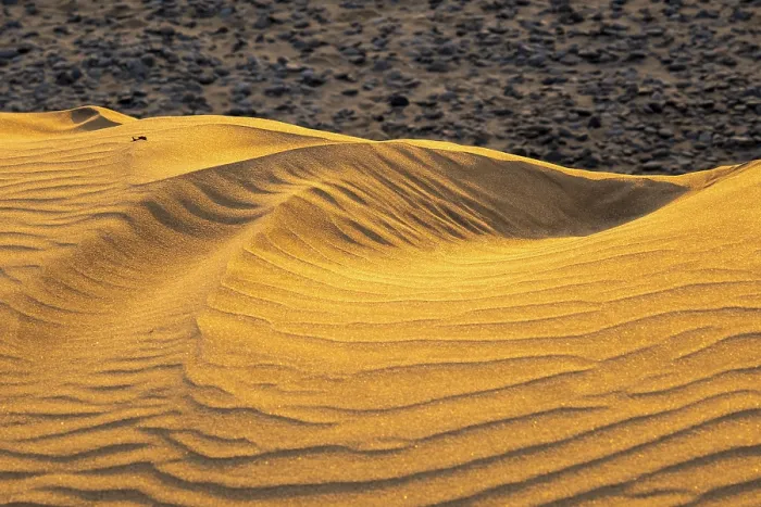 Framed Print : Wave pattern, Maspalomas sand dunes Print, Gran Canaria Framed Print : Wave pattern, Maspalomas sand dunes Print, Gran Canaria