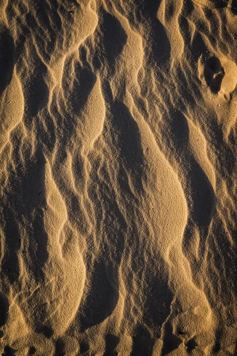Framed Print : Wave Structures Print on Sandy Beach, USA Framed Print : Wave Structures Print on Sandy Beach, USA