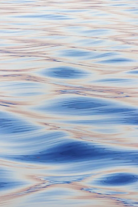 Framed Print : Waves in the evening light, Denmark Strait, Greenland print Framed Print : Waves in the evening light, Denmark Strait, Greenland print