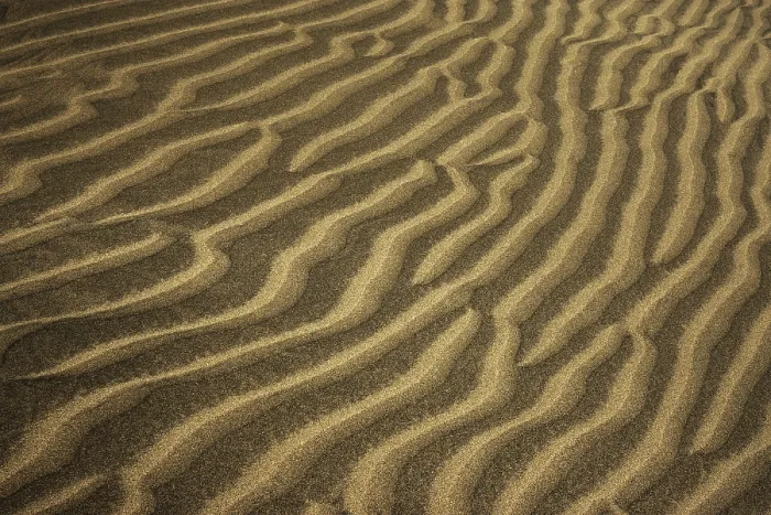 Framed Print : Wavy Dunes of Maspalomas Print, Gran Canaria Framed Print : Wavy Dunes of Maspalomas Print, Gran Canaria