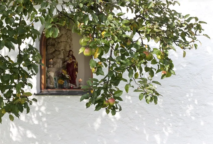 Framed Print : Wayside Chapel Window Apple Tree Print Framed Print : Wayside Chapel Window Apple Tree Print