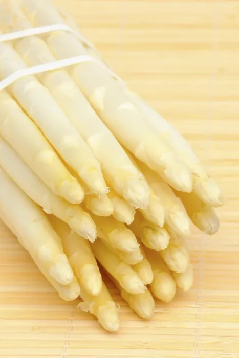 Framed Print : White Asparagus Print - Fresh Delicacy Framed Print : White Asparagus Print - Fresh Delicacy