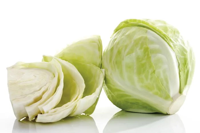 Framed Print : White Cabbage Print: Whole and Half Heads Framed Print : White Cabbage Print: Whole and Half Heads