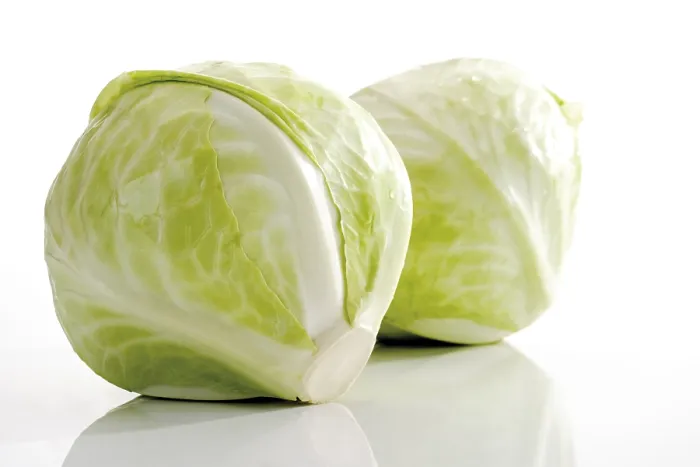 Framed Print : White Cabbage Print - Two Heads Framed Print : White Cabbage Print - Two Heads
