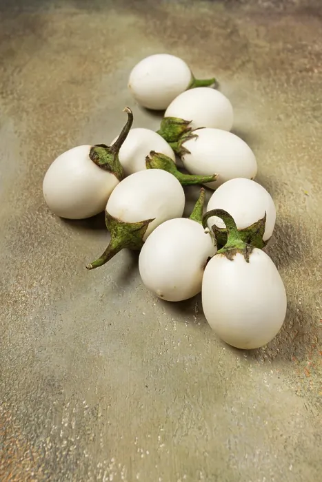 Framed Print : White Eggplants on Textured Surface Print Framed Print : White Eggplants on Textured Surface Print