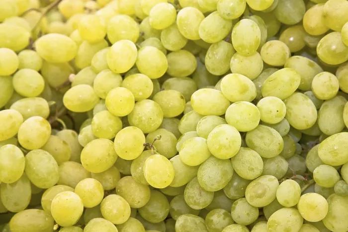 Framed Print : White Grapes Print Framed Print : White Grapes Print