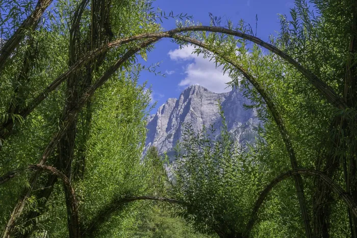 Framed Print : Willow Dome in Background Print, Admont, Austria Framed Print : Willow Dome in Background Print, Admont, Austria