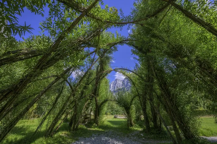 Framed Print : Willow Dome in Background: Planspitze, Admont, Austria Print Framed Print : Willow Dome in Background: Planspitze, Admont, Austria Print