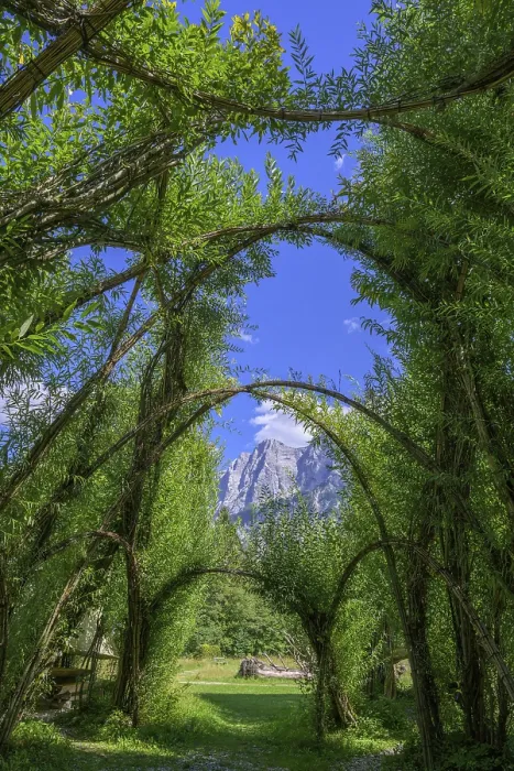 Framed Print : Willow Dome in Background, Planspitze, Admont, Austria Print Framed Print : Willow Dome in Background, Planspitze, Admont, Austria Print