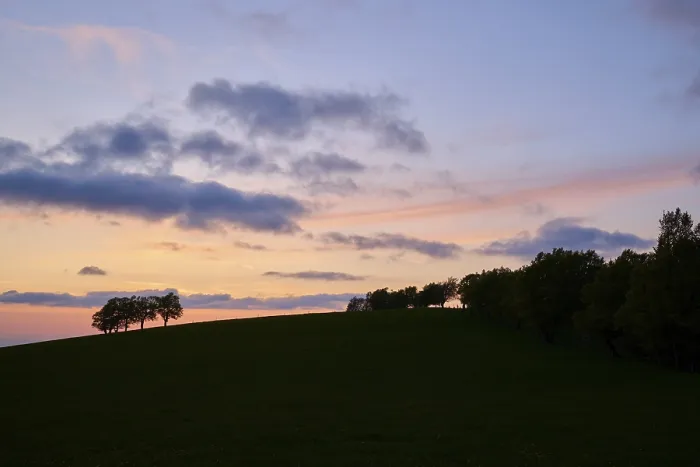 Framed Print : Print of Wind beeches at sunset in Schauinsland, Germany