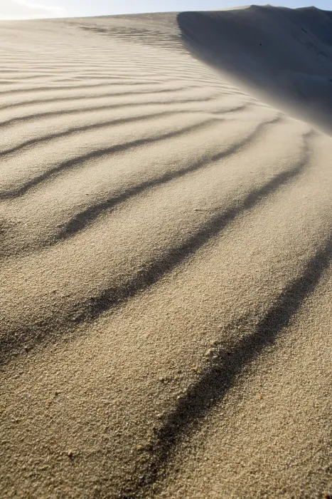 Framed Print : The Wind Creates a Ripple Effect on a Dune Print Framed Print : The Wind Creates a Ripple Effect on a Dune Print