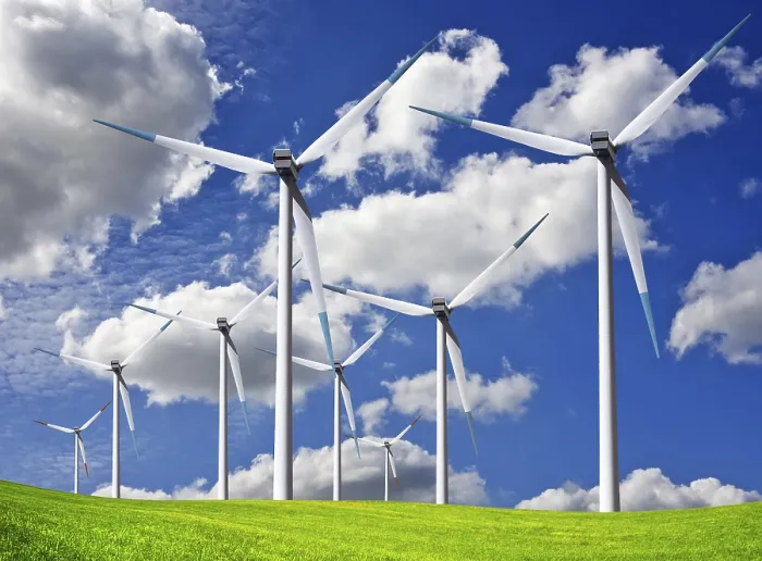 Framed Print : Wind Field Print by imageBROKER Framed Print : Wind Field Print by imageBROKER