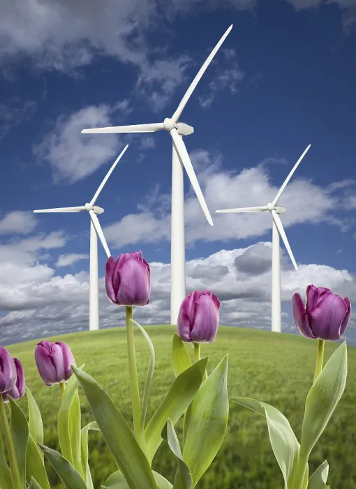 Framed Print : Wind Turbines Print - Dramatic Sky Framed Print : Wind Turbines Print - Dramatic Sky