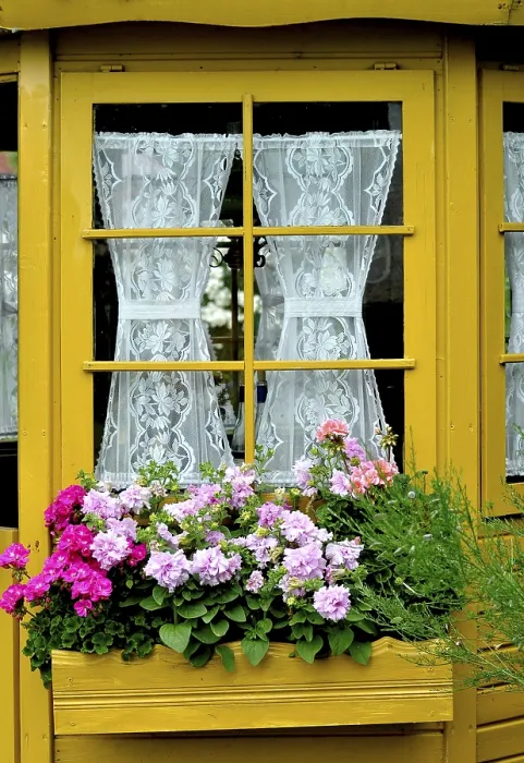 Framed Print : Window with Geraniums Print Framed Print : Window with Geraniums Print